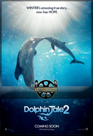 Bir Yunusun Hikayesi 2 Filmini seyret – Dolphin Tale 2 izle