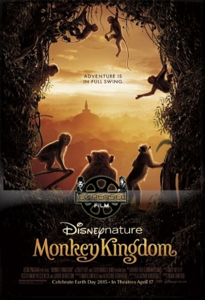 Monkey Kingdom – Maymun Krallığı izle